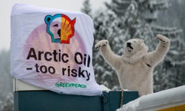 artic oil too risky sign next to polar bear