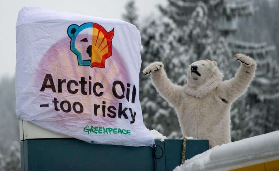 artic oil too risky sign next to polar bear
