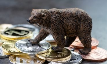 Bear standing on bitcoins