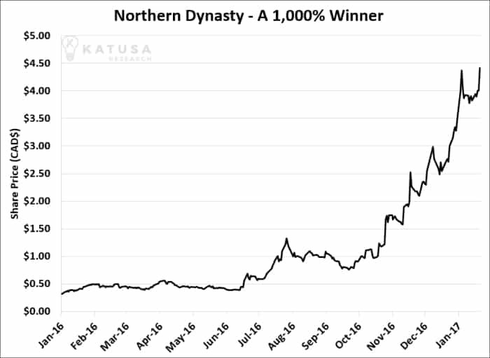 Northern Dynasty 1000% Winner