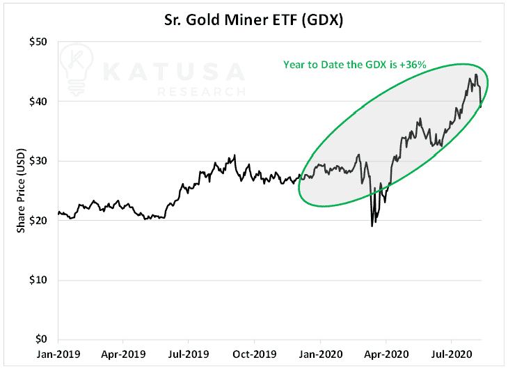 Sr. Gold Miner ETF GDX 2020